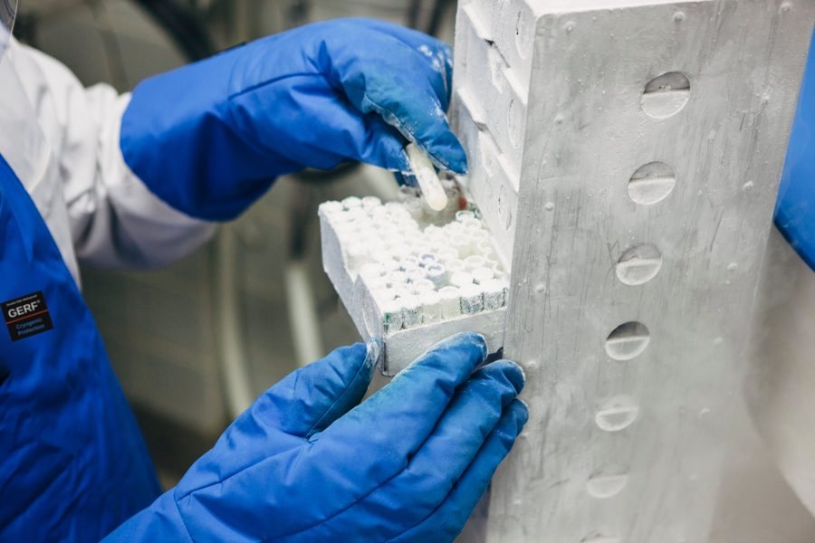 Retrieving cryogenic vials with GERF® gloves and apron